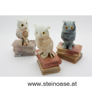 Eule auf Buch - Speckstein Gr.L